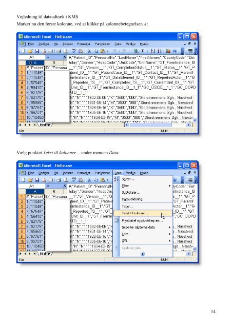 Vejledning i dataudtræk fra KMS og import til Excel