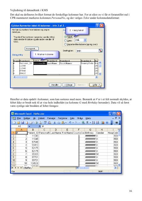 Vejledning i dataudtræk fra KMS og import til Excel