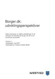 Borger.dk: udviklingsperspektiver