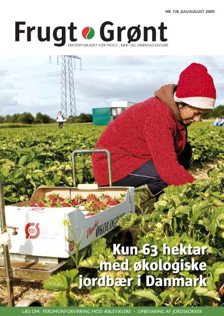 Kun 63 hektar med økologiske jordbær i Danmark - Gartneribladene