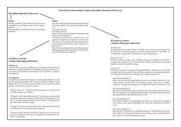 B-Lymfocyt systemet (Antigen-afhængig proliferation ... - Asclepius.dk