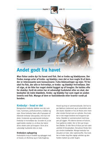 Kapitel 2 – Andet godt fra havet (pdf – 1,8Mb) - Fiskericirklen