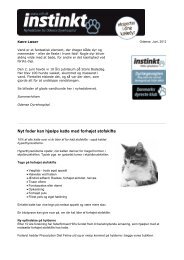 Nyt foder kan hjælpe katte med forhøjet stofskifte - Odense ...