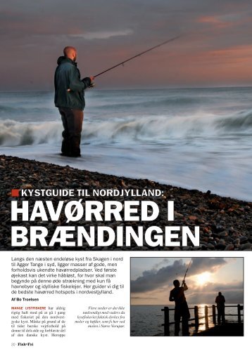 Kyst guide til Nordjylland. - Bo Troelsen