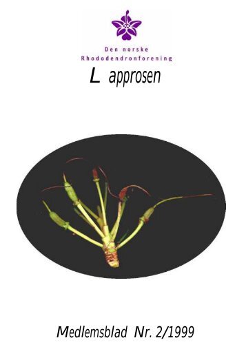 Utgave nr 2 - Den norske Rhododendronforening