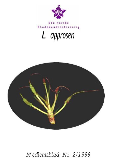 Utgave nr 2 - Den norske Rhododendronforening