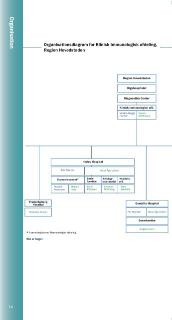 Organisation - Region Hovedstaden