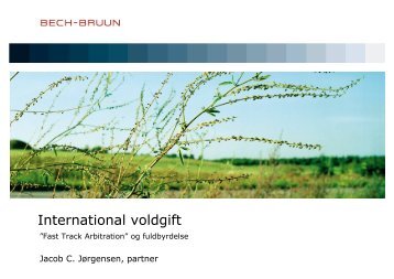 International voldgift - Bech-Bruun