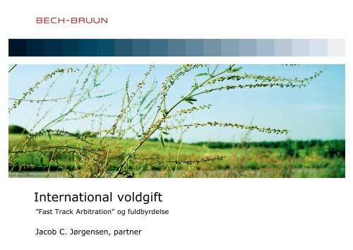 International voldgift - Bech-Bruun