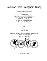 Jackson Hole Pronghorn Study - WEST, Inc.