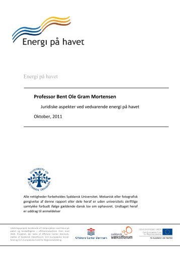 Energi på havet Professor Bent Ole Gram Mortensen