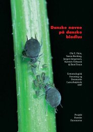 bladlus ombr - Allearter.dk