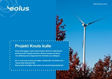 Projekt Knuts kulle - Qvinnovindar