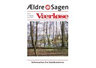 Nr. 2 2007 - Ældre Sagen