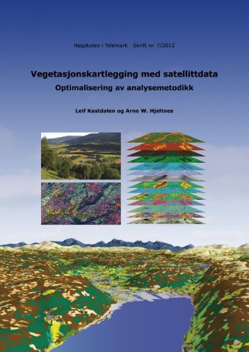 Vegetasjonskartlegging med satellittdata Optimalisering av ...