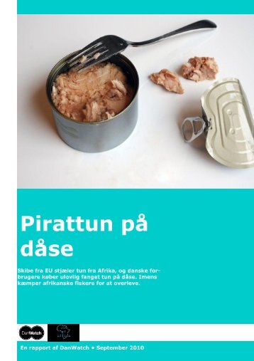 4. Pirattun på dåse - DanWatch