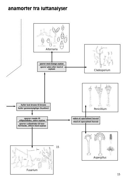 MikroSvampe2002 .pdf - Indeklima-Gruppen.dk