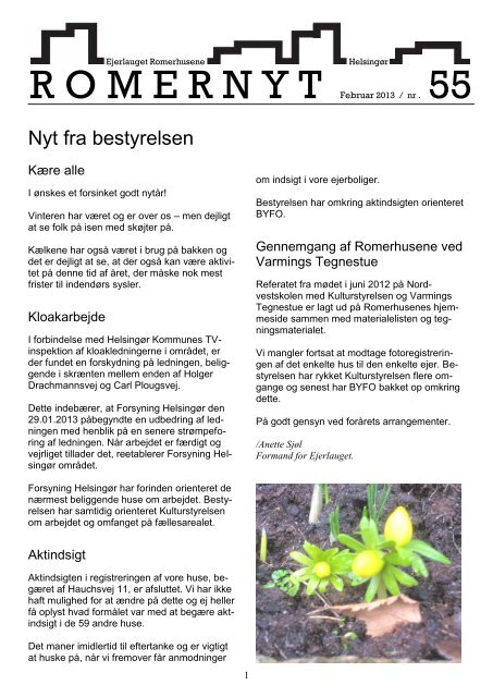 R O M E R N Y T Februar 2013 / nr . 55 - Romerhusene