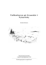 Tallkulturen på Granskär i Nykarleby - Metsäntutkimuslaitos