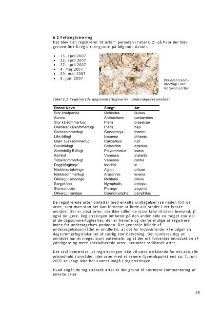 Naturhistorien i Svanninge Bjerge, resultater og plejeplan