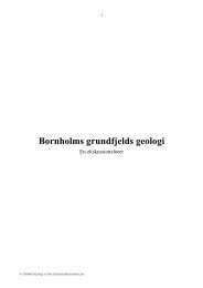 Bornholms grundfjelds-geologi