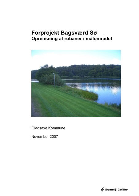Carl Bros rapport af 2007. Forprojekt Bagsværd Sø. Oprensning af ...