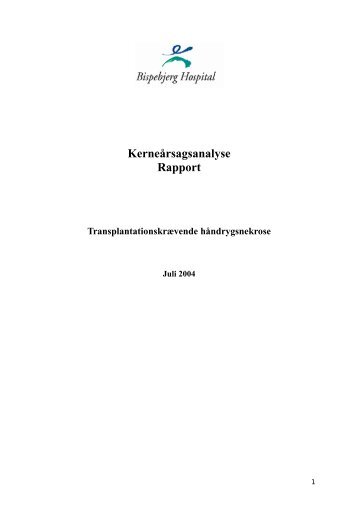 Transplantationskrævende håndrygsnekrose (juli 2004)