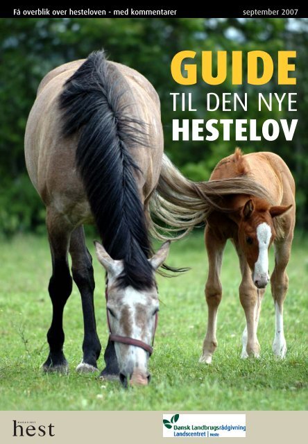 Guide til den nye hestelov