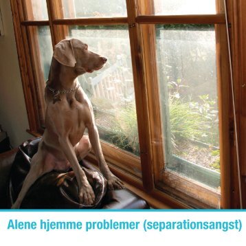 Download Alene hjemme problemer (Separationsangst) - Zylkene
