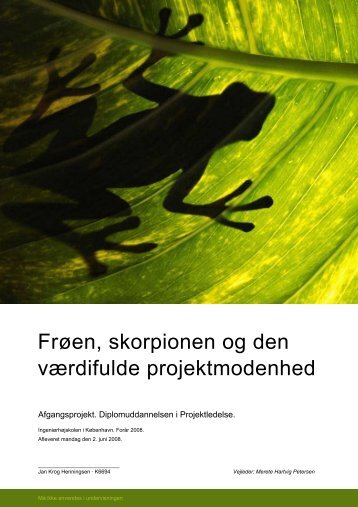 Frøen, skorpionen og den værdifulde projektmodenhed