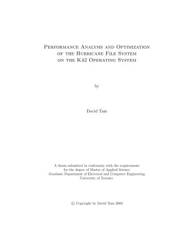 Performance Analysis and Optimization of the Hurricane File System ...