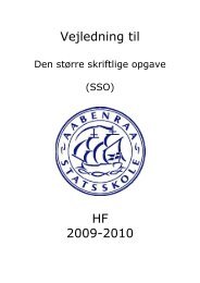 Vejledning til HF 2009-2010 - Aabenraa Statsskole