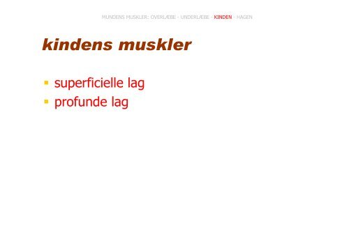 HOVEDETS MUSKLER