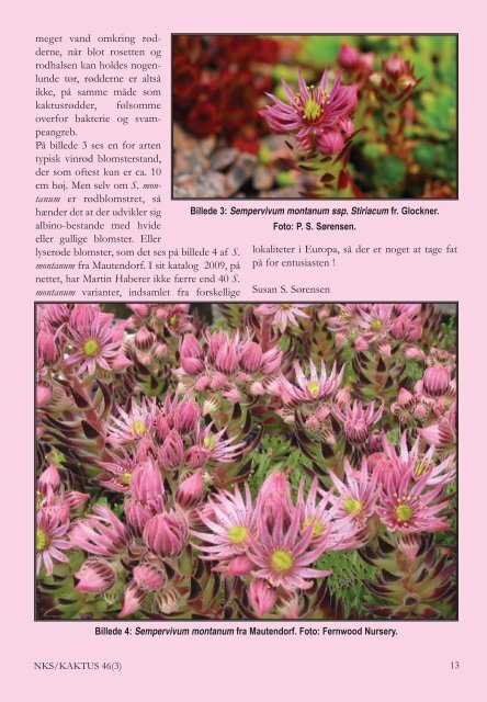 KAKTUS 03-2011.qxd - Copiapoa