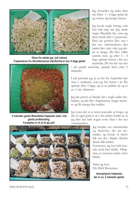 KAKTUS 03-2011.qxd - Copiapoa
