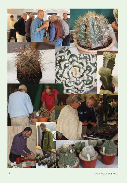KAKTUS 03-2011.qxd - Copiapoa