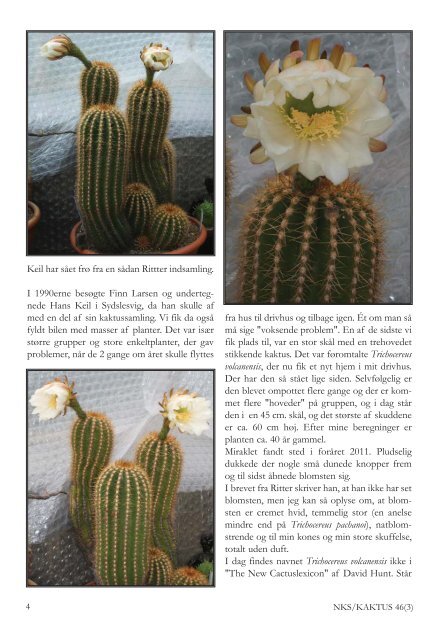 KAKTUS 03-2011.qxd - Copiapoa