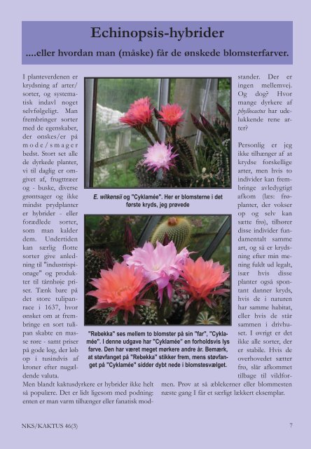 KAKTUS 03-2011.qxd - Copiapoa