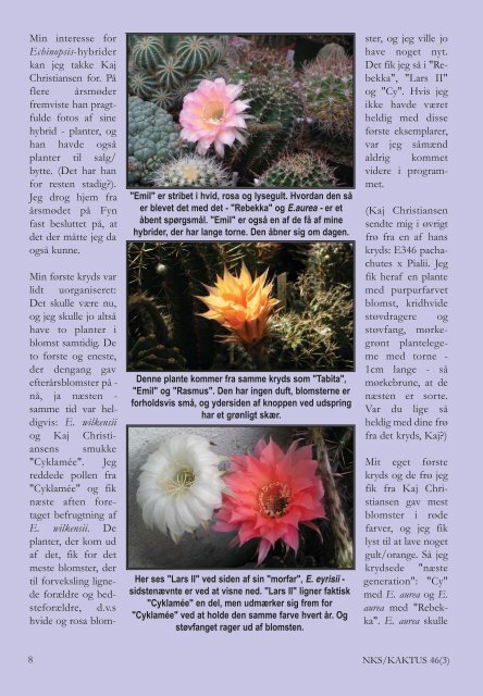 KAKTUS 03-2011.qxd - Copiapoa