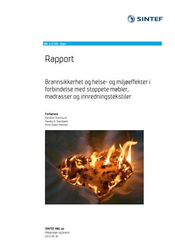 Last ned PDF - Direktoratet for samfunnssikkerhet og beredskap