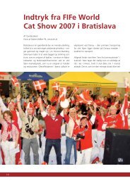 Indtryk fra FIFe World Cat Show 2007 i Bratislava - Felis Danica