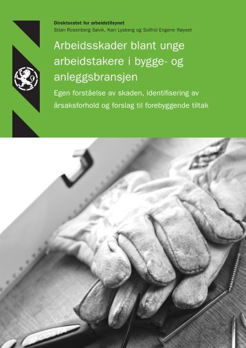 Arbeidsskader blant unge arbeidstakere - Regionale verneombud