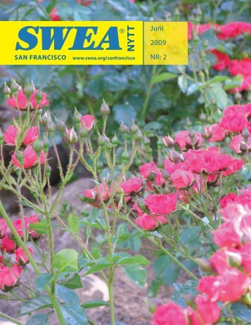 NY T T - SWEA International