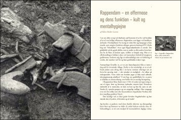 Rappendam – en offermose og dens funktion ... - Roskilde Museum