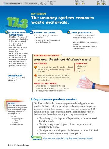 The urinary system removes waste materials. - ClassZone