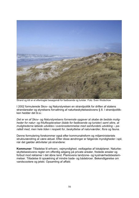 Rapport Sandflugt og klitfredning - erfaringer og status - Naturstyrelsen