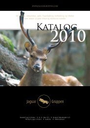 Katalog - Hubertushuset