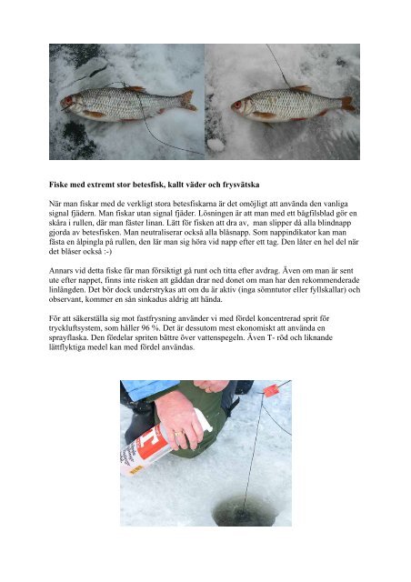 Isfiskeskola - Scandinavian Fishing