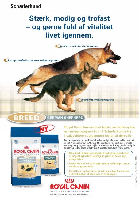 SCHÆFERHUNDEN - Schæferhundeklubben for Danmark