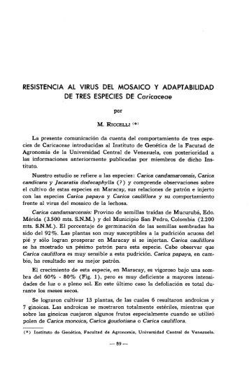 RESISTENCIA AL VIRUS DEL MOSAICO Y ADAPTABILIDAD DE ...